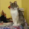 Отзыв от Кристина Безрукова